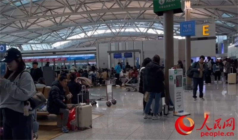 11月29日，繁忙的仁川機(jī)場(chǎng)。人民網(wǎng) 李帆攝