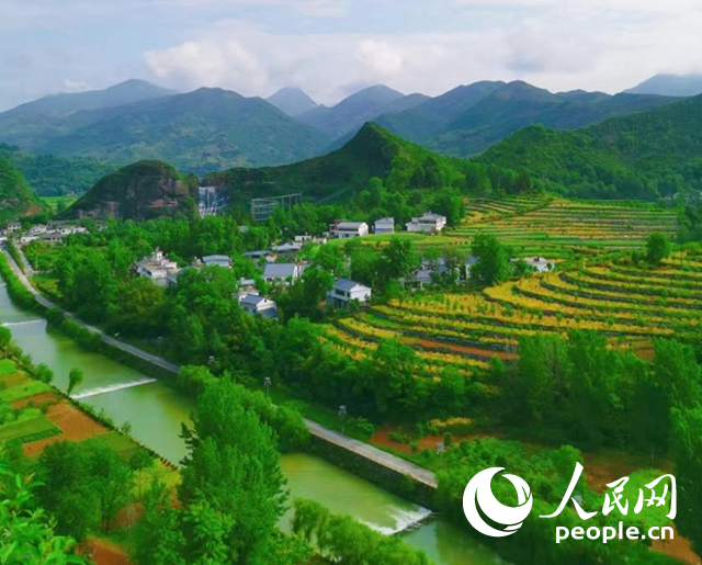 陜西商洛漫川關(guān)鎮(zhèn)民宿群。人民網(wǎng) 王麗攝