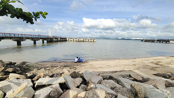 深圳紅樹林灘涂，留給了孩子們親近自然的空間。人民網(wǎng)記者 李彤攝