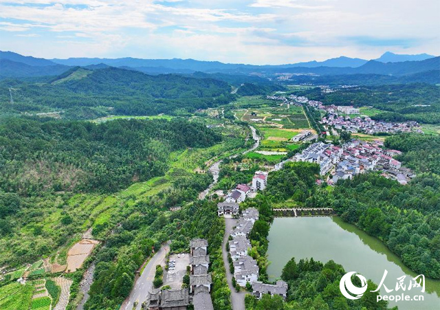 資溪縣森林資源豐富，森林覆蓋率達87.7%，有林地資源168萬畝。人民網(wǎng) 朱海鵬攝