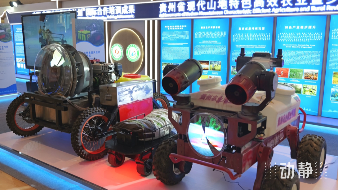 展示成果分享經(jīng)驗(yàn)，中國(guó)—東盟教育交流周深化合作共創(chuàng)未來(lái)！