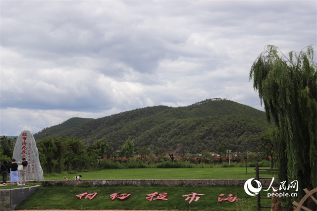 麗江市拉市海景區(qū)。 人民網(wǎng)記者 程浩攝