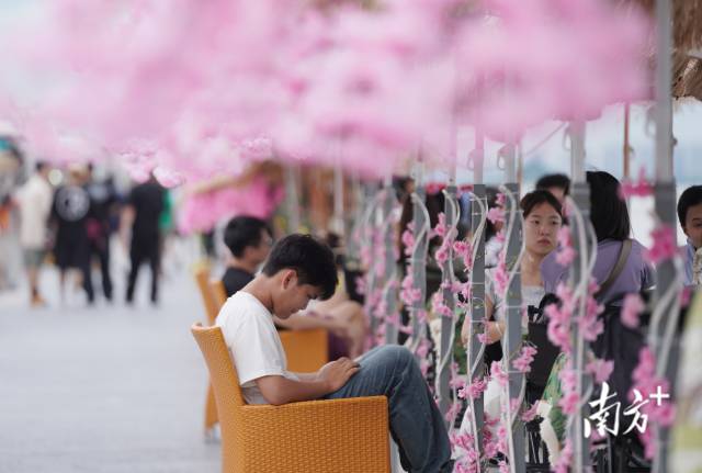 崖口村東堤靠近海岸，成為了熱門打卡休閑地點(diǎn)。