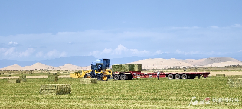 mmexport1754813368495