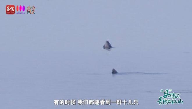 “縣”在起筆 青綠繪江山 | 江灣沐曉：褪去“銹色”走“金線”，繡出生態(tài)與產(chǎn)業(yè)“雙面錦”