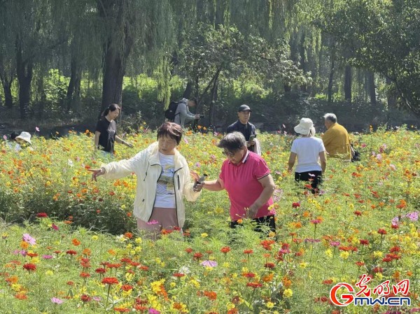 何以中國(guó)·理想都城|數(shù)字化技術(shù)再現(xiàn)圓明園昔日輝煌盛景
