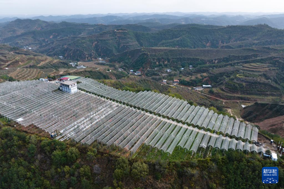 【高質(zhì)量發(fā)展看陜西】“上天”的延安蘋果，蘊(yùn)藏哪些新質(zhì)生產(chǎn)力