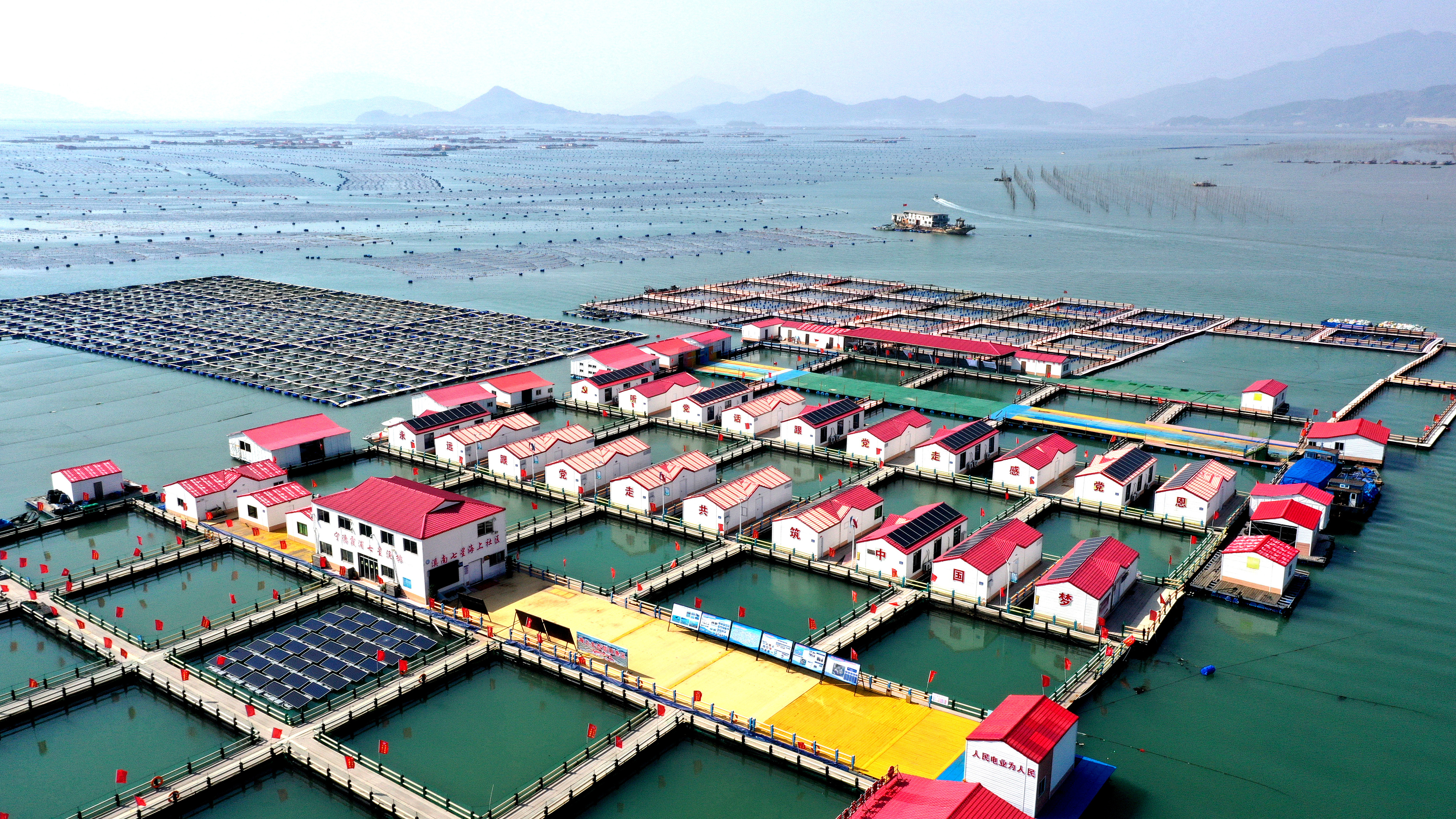 2024年3月20日，福建省寧德市，霞浦縣溪南鎮(zhèn)七星村漁排養(yǎng)殖示范區(qū)，漁民駕駛養(yǎng)殖船進行海參養(yǎng)殖作業(yè)。