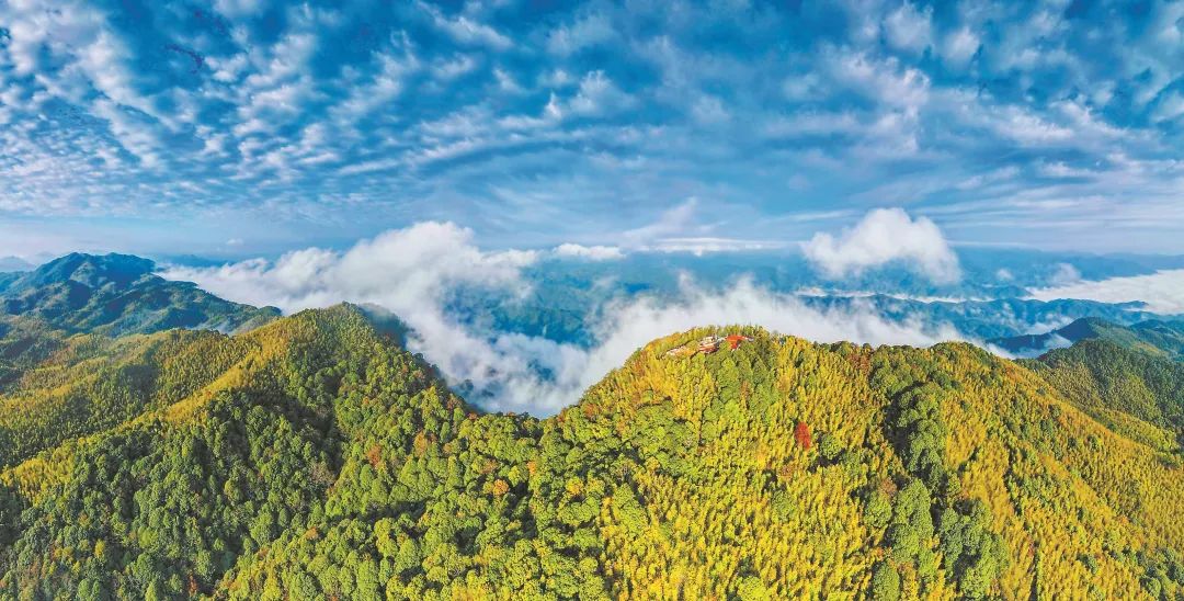 　三明森林生態(tài)環(huán)境優(yōu)美。