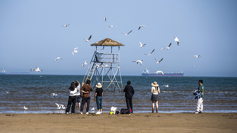 2024年5月12日，河北秦皇島，北戴河鴿子窩公園成群海鷗在天空中自由翱翔，與大海、藍天構(gòu)成了一幅美麗的畫卷。