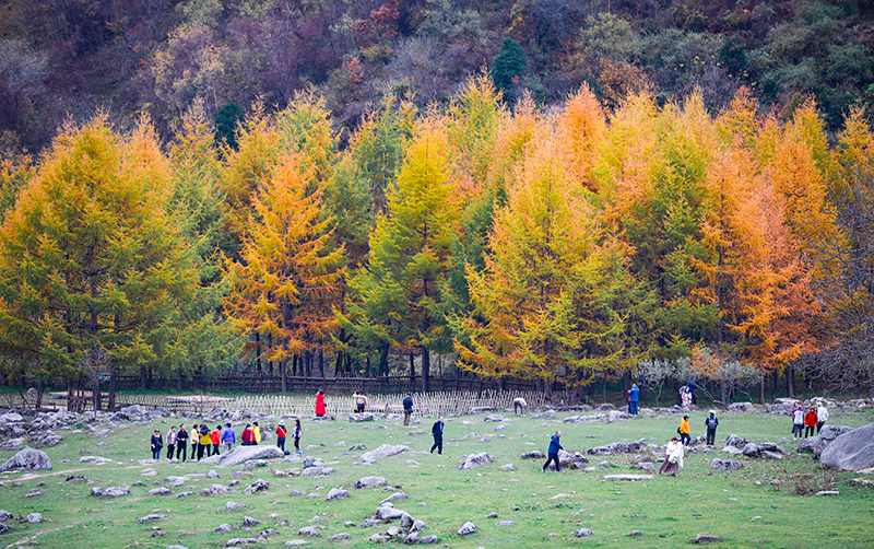 2023年10月27日，深秋時節(jié)的陜西秦嶺太子嶺漫山紅黃、色彩交織，進入最佳觀賞期。