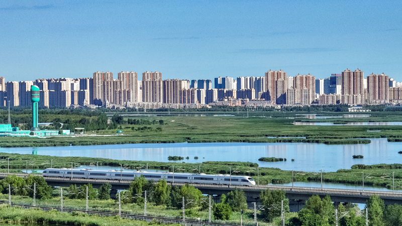 2025年8月17日，一列動車組列車駛過大慶東站。