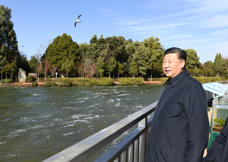2020年1月20日下午，習(xí)近平總書記在云南昆明滇池星海半島生態(tài)濕地考察調(diào)研。