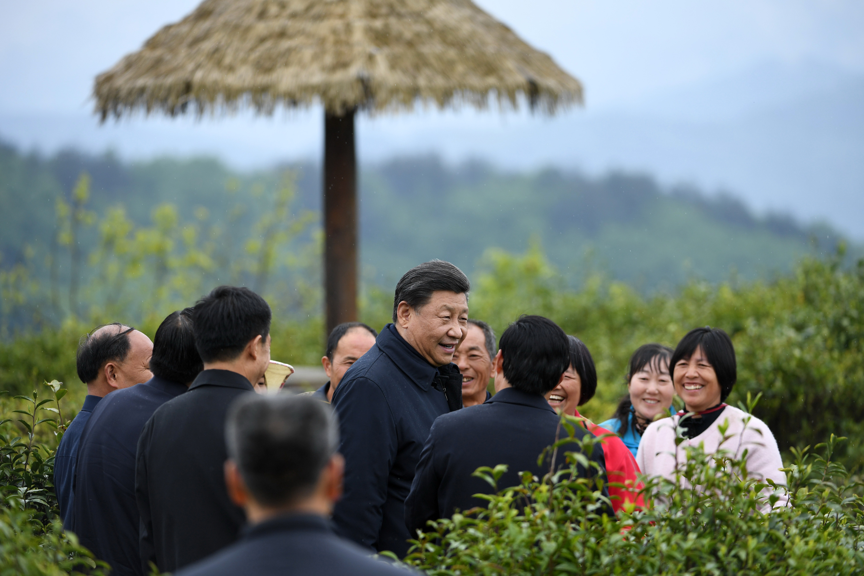 2020年4月21日，習(xí)近平在安康市平利縣老縣鎮(zhèn)蔣家坪村女媧鳳凰茶業(yè)現(xiàn)代示范園區(qū)，同茶農(nóng)們親切交談。