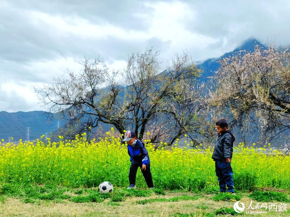 孩童在桃花下嬉戲。人民網(wǎng) 李海霞攝