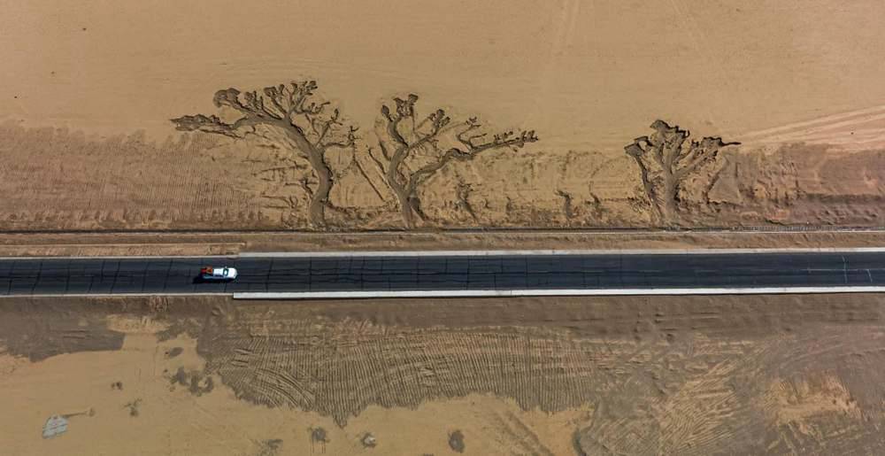 位于國(guó)道216沿線的“大地之樹(shù)”。邊巴多吉攝