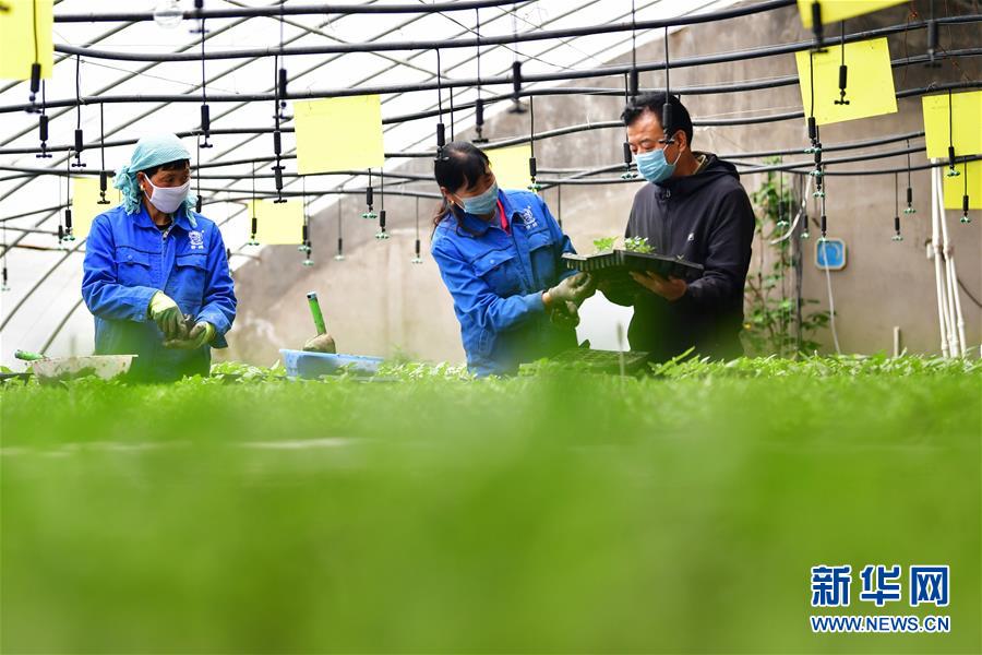 （脫貧攻堅(jiān)·圖片故事）（14）扶貧相冊——藏族村寨的脫貧“貼心人”