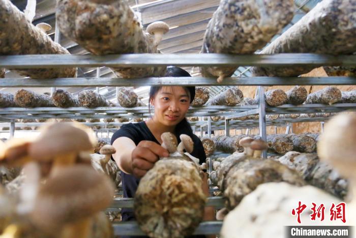 甘肅天?！跋愎椒蚱蕖毕律饺氪ǎ捍笈锢镉板X景”