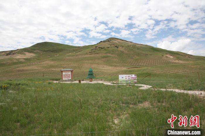 四川省阿壩州若爾蓋縣草原沙化治理后。若爾蓋縣林業(yè)和草原局供圖