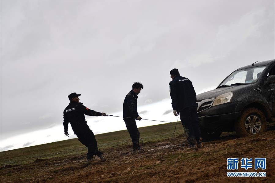 （圖文互動(dòng)）（10）記者手記：可可西里，“挪”向“藏羚羊大產(chǎn)房”的14個(gè)半小時(shí)