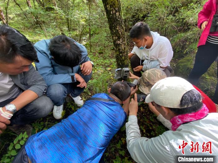 圖為訪客正在查看紅外相機中的拍攝畫面?！±罱瓕?攝