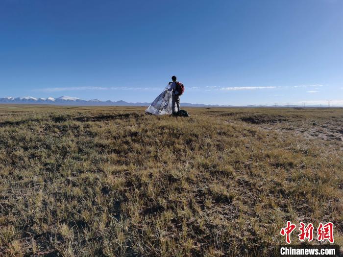 圖為索南達杰保護站保護隊員在可可西里找到露營的葉某?！∴嚭Ｆ?攝