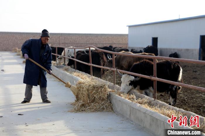 柴達(dá)木盆地蓮湖村：讓致富村民生活“?！逼饋? oldsrc=