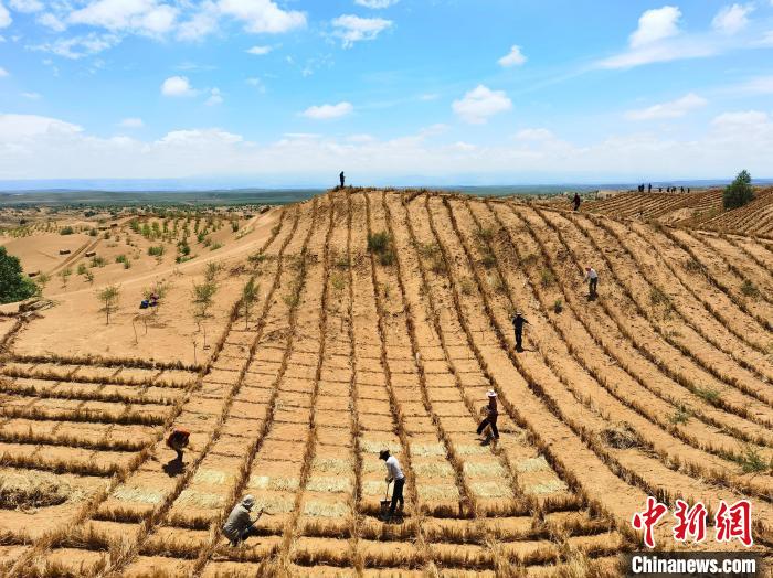 黃河上游黃沙頭:綜合治沙筑“綠色長(zhǎng)城”