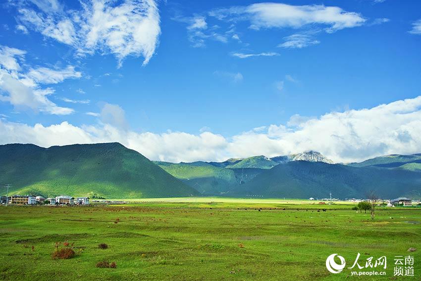 納帕海濕地風(fēng)景。呂昊辰攝