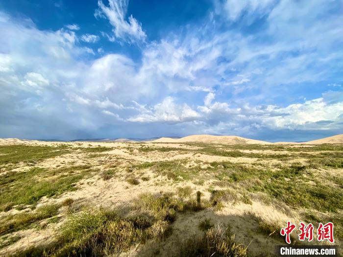 圖為關(guān)停四年后的沙島景區(qū)現(xiàn)狀。　李江寧 攝