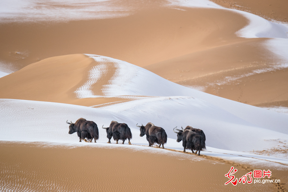 三江源國家公園正式設立，這是青海生態(tài)文明建設的新答卷