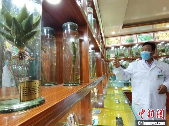 甘肅省甘南藏族自治州碌曲縣藏醫(yī)院副院長(zhǎng)看照加近30年的從醫(yī)工作，堅(jiān)持中藏醫(yī)特色優(yōu)勢(shì)相結(jié)合診療方法?！堟?攝