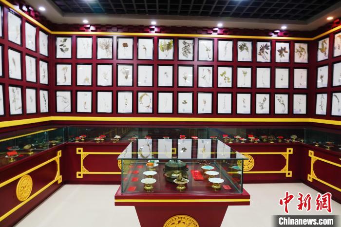 圖為藏藥臘葉標(biāo)本?！●R銘言 攝