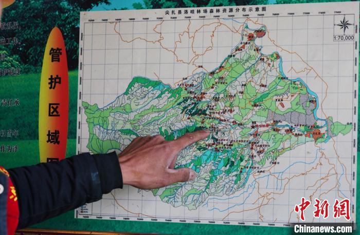 圖為桑杰加介紹管護(hù)區(qū)域分布。　馬銘言 攝