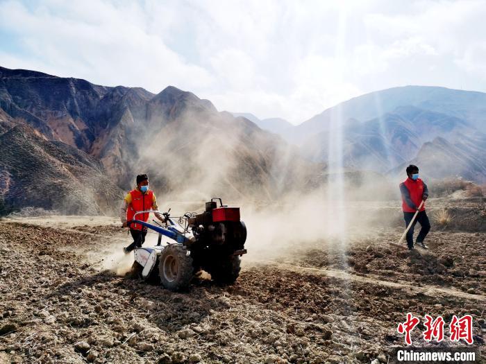 圖為拖拉機(jī)在山地犁地?！?zhí)砀?攝