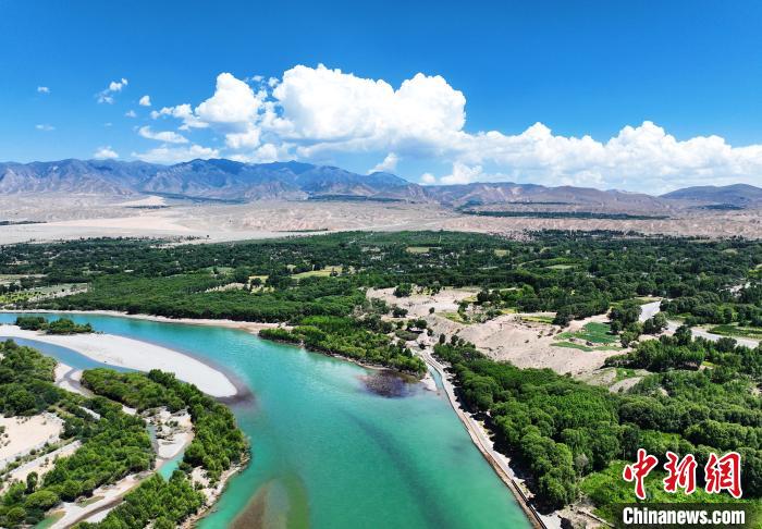 航拍貴德縣黃河岸畔綠意盎然?！●R銘言 攝