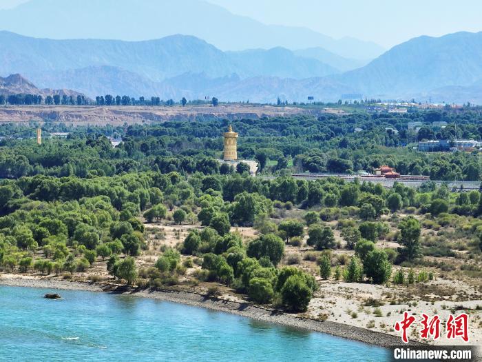 航拍貴德縣黃河岸畔綠意盎然。　馬銘言 攝