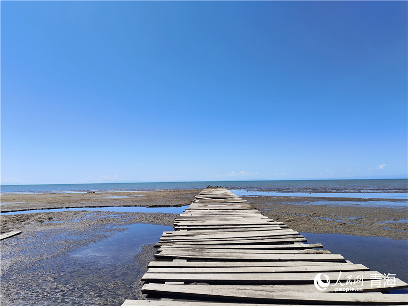   青海湖仙女灣。人民網(wǎng) 張莉萍攝