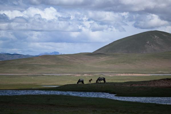 唐古拉山腳下，聽(tīng)牧民講述長(zhǎng)江源生活變遷