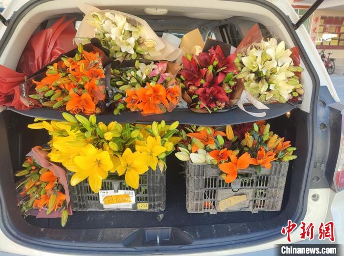 剛剛采摘下來的百合花?！∪捞量h委宣傳部供圖