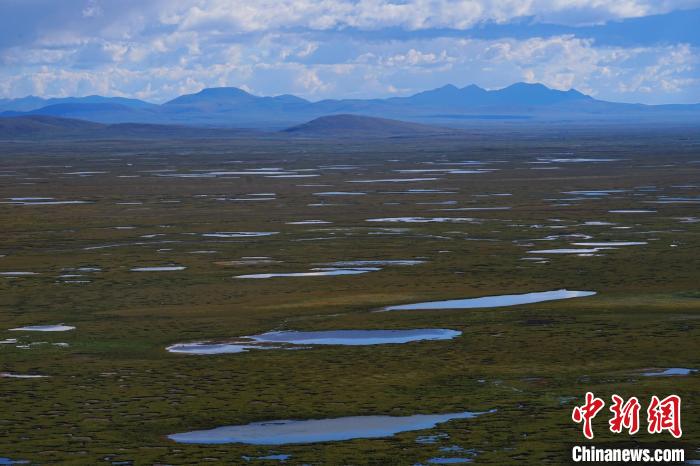 圖為查旦濕地?！●R銘言 攝