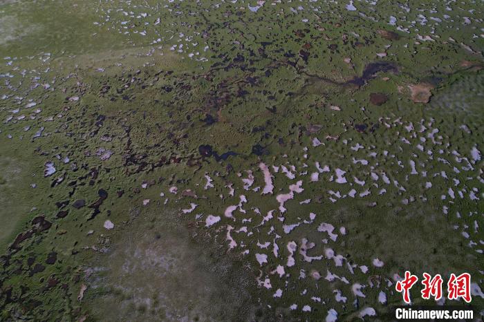 航拍查旦濕地?！●R銘言 攝