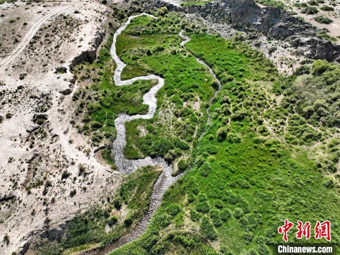 圖為航拍都蘭湖國家濕地公園綠意盎然?！∑钤鲚?攝