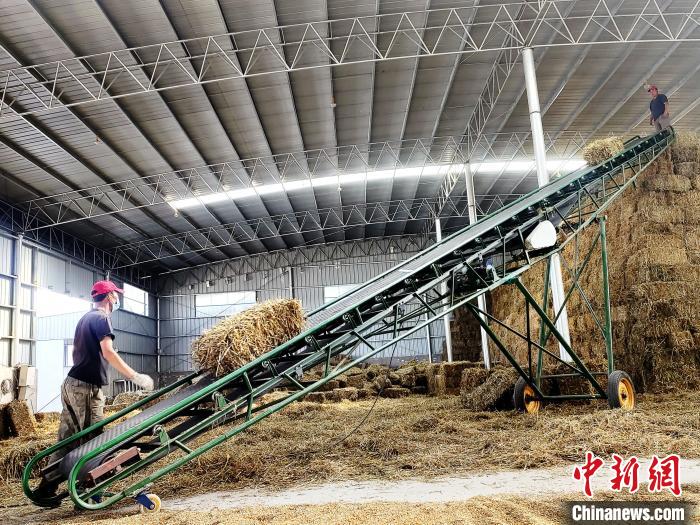 圖為飼草打捆、儲存?！●R芝芬 攝
