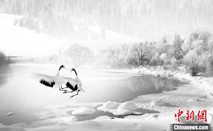 圖為焦生福的作品《鶴嬉雪林》?！∏嗪Ｊ∑钸B山自然保護(hù)協(xié)會(huì)供圖