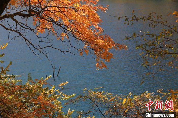 松坪溝風光。　劉通 攝