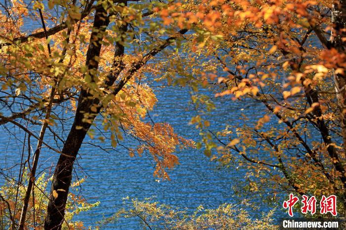 松坪溝風光?！⑼?攝