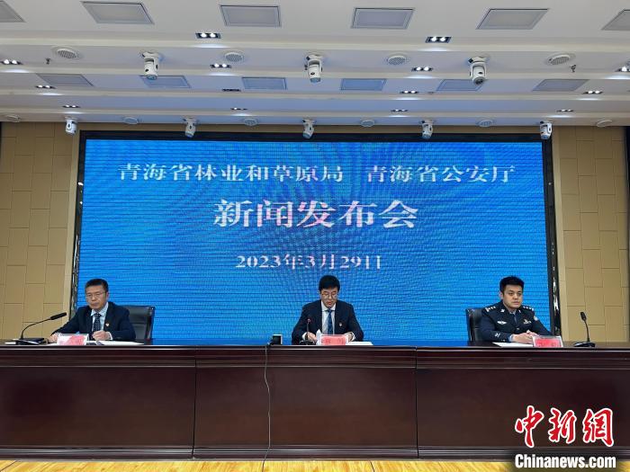 青海去年占用林地、草地準(zhǔn)予許可件同比實(shí)現(xiàn)“雙減”