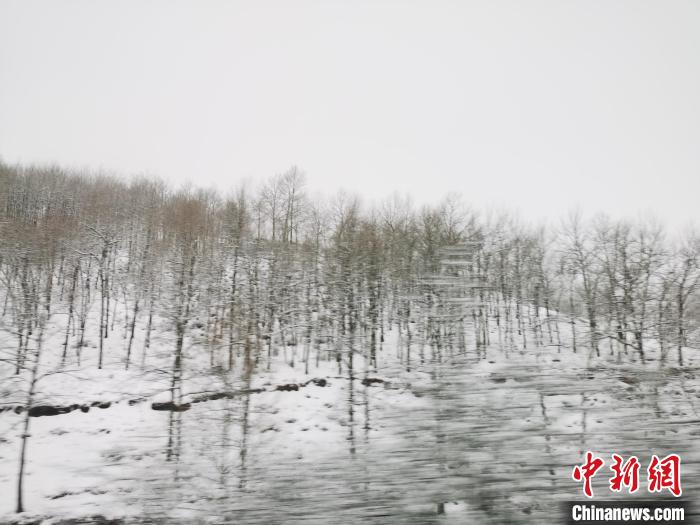 圖為青海青沙山區(qū)域被降雪覆蓋?！?zhí)砀?攝