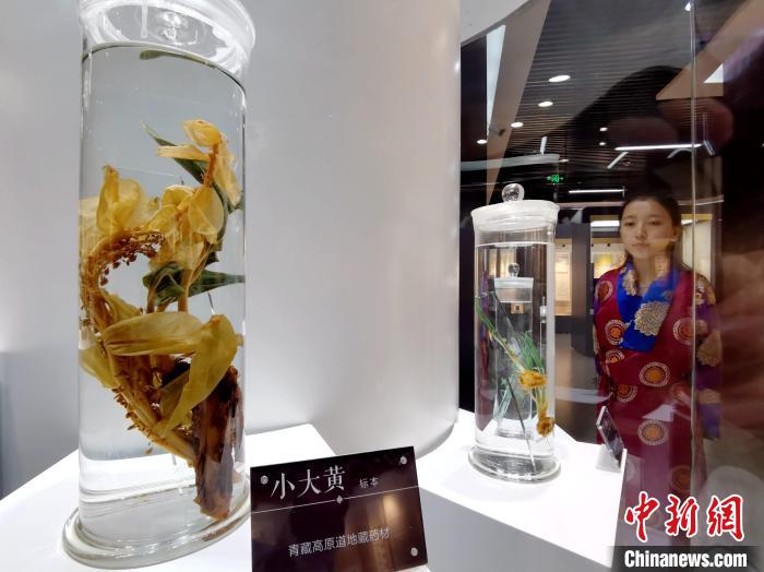 青海中藏醫(yī)藥發(fā)展提速：建設(shè)一批重點專科學(xué)科，推廣一批適宜技術(shù)